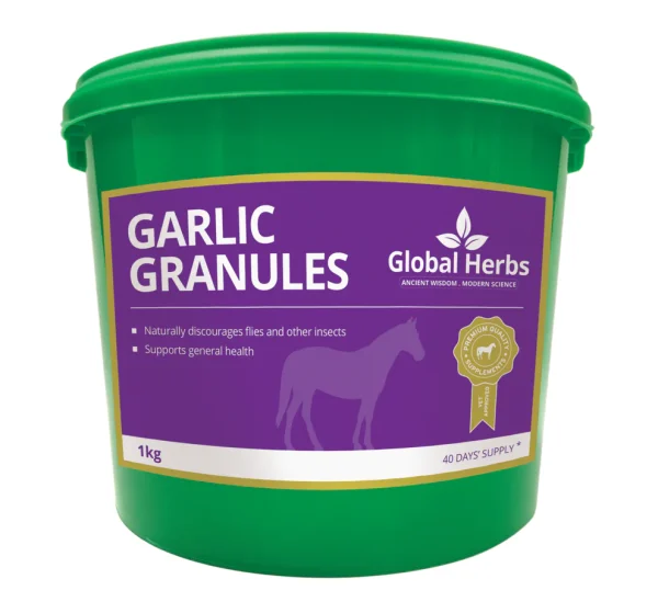 1kg Tub Garlic Granules